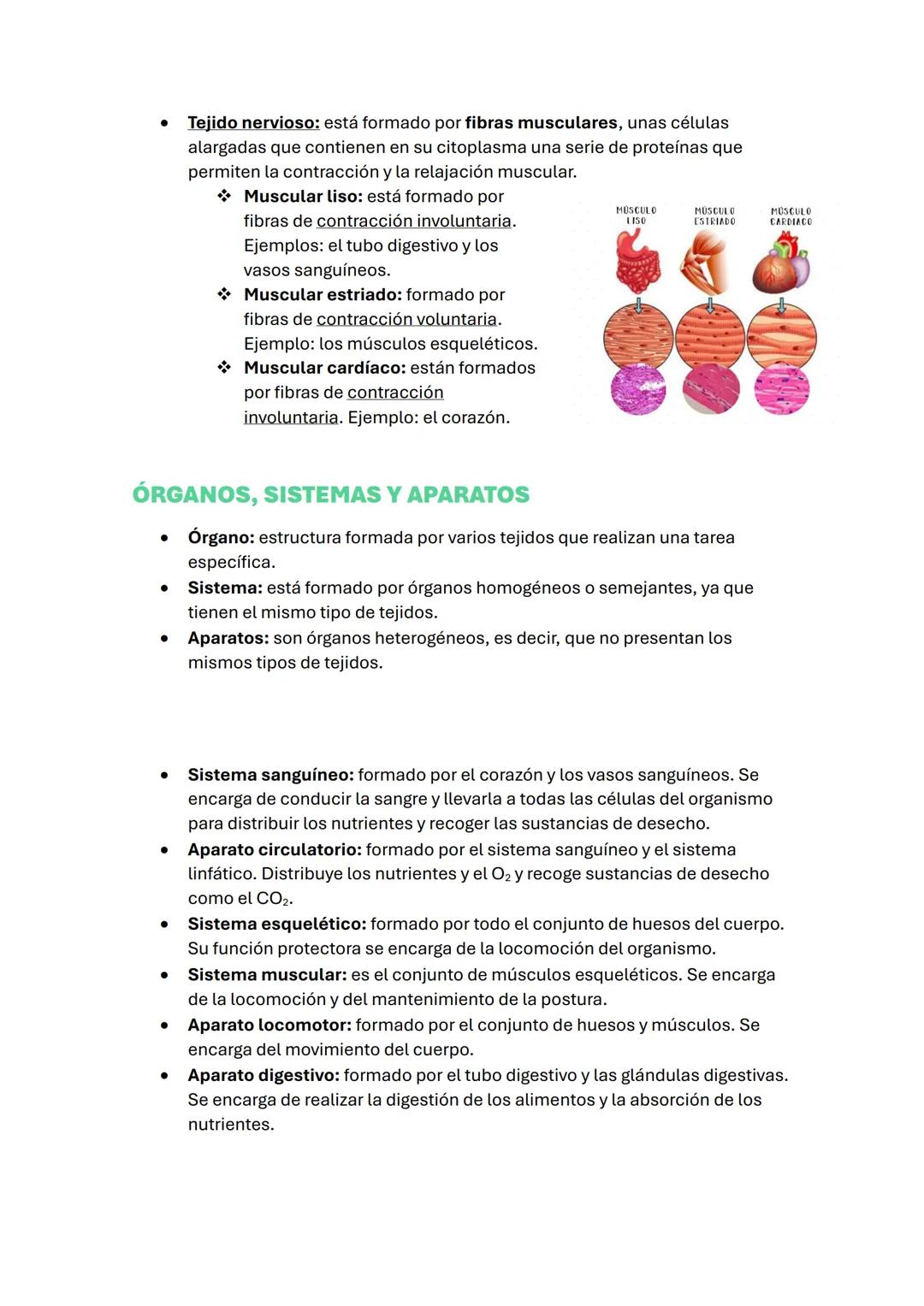 # TEMA 1:

# EL CUERPO HUMANO

## LA CÉLULA, UNIDAD DE VIDA

La célula es la unidad fundamental, estructural y genética de todos los seres
v