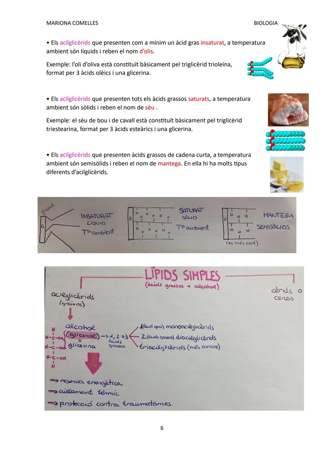SIMPLES:
MARIONA COMELLES
BIOLOGIA
BIOLOGIA TEMA 2: LÍPIDS
Característiques i funcions:
Grup de biomolècules molt heterogeni:
• Són insolubl