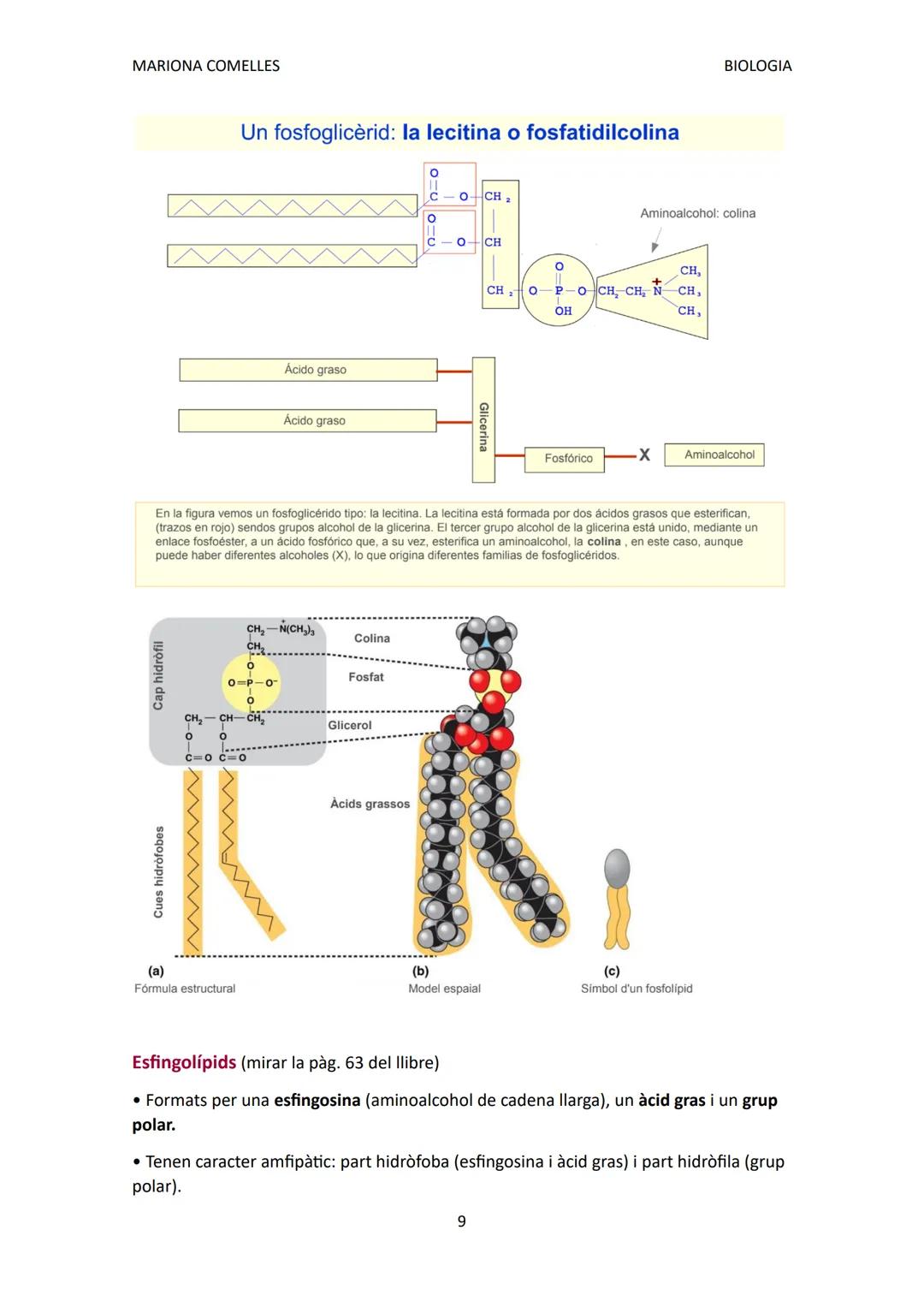 SIMPLES:
MARIONA COMELLES
BIOLOGIA
BIOLOGIA TEMA 2: LÍPIDS
Característiques i funcions:
Grup de biomolècules molt heterogeni:
• Són insolubl