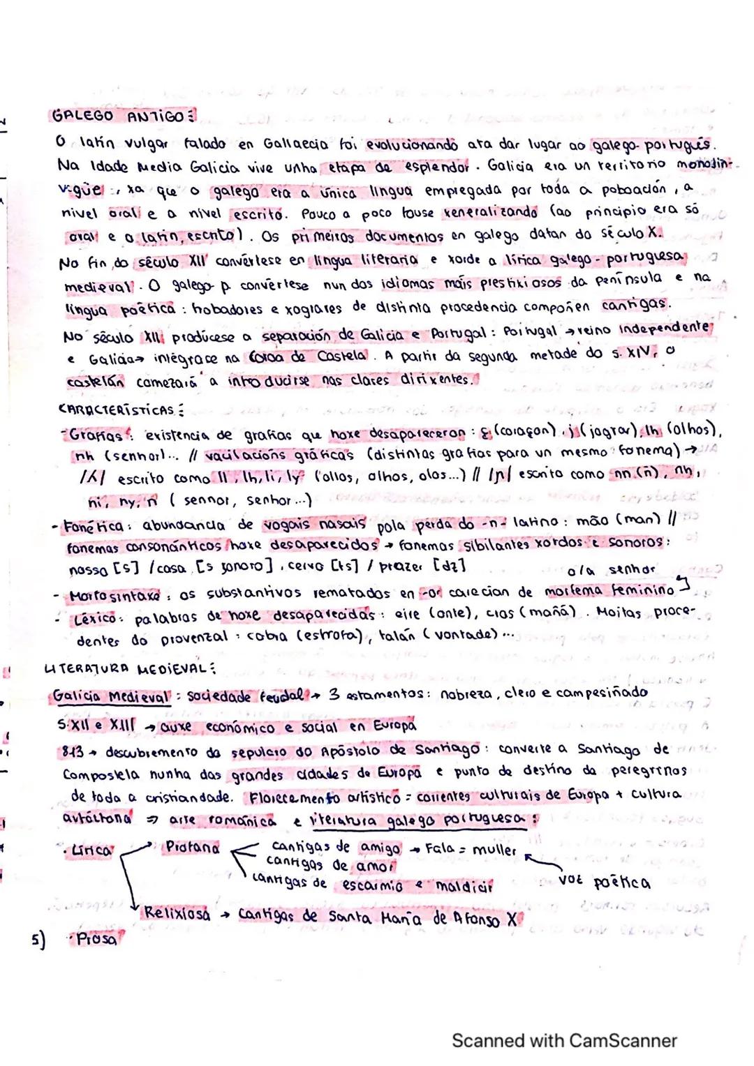 GALEGO ANTIGO

O latin vulgar falado en Gallaecia foi evolucionando ata dar lugar ao galego- portugués.
Na Idade Media Galicia vive unha eta