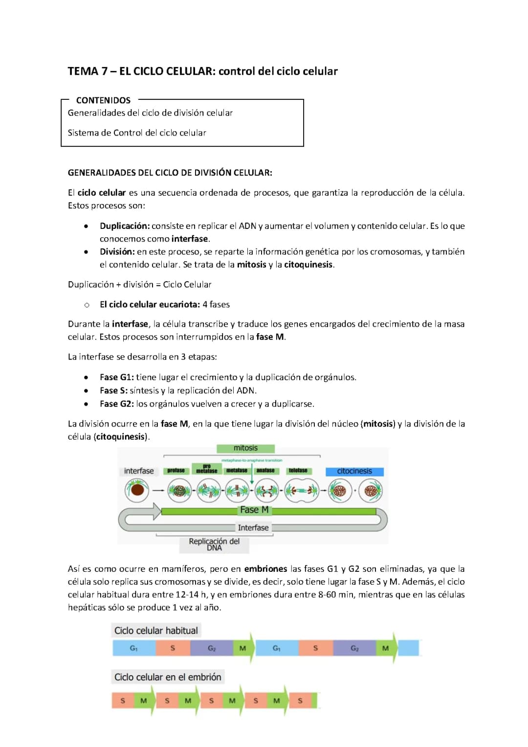 Ciclo celular