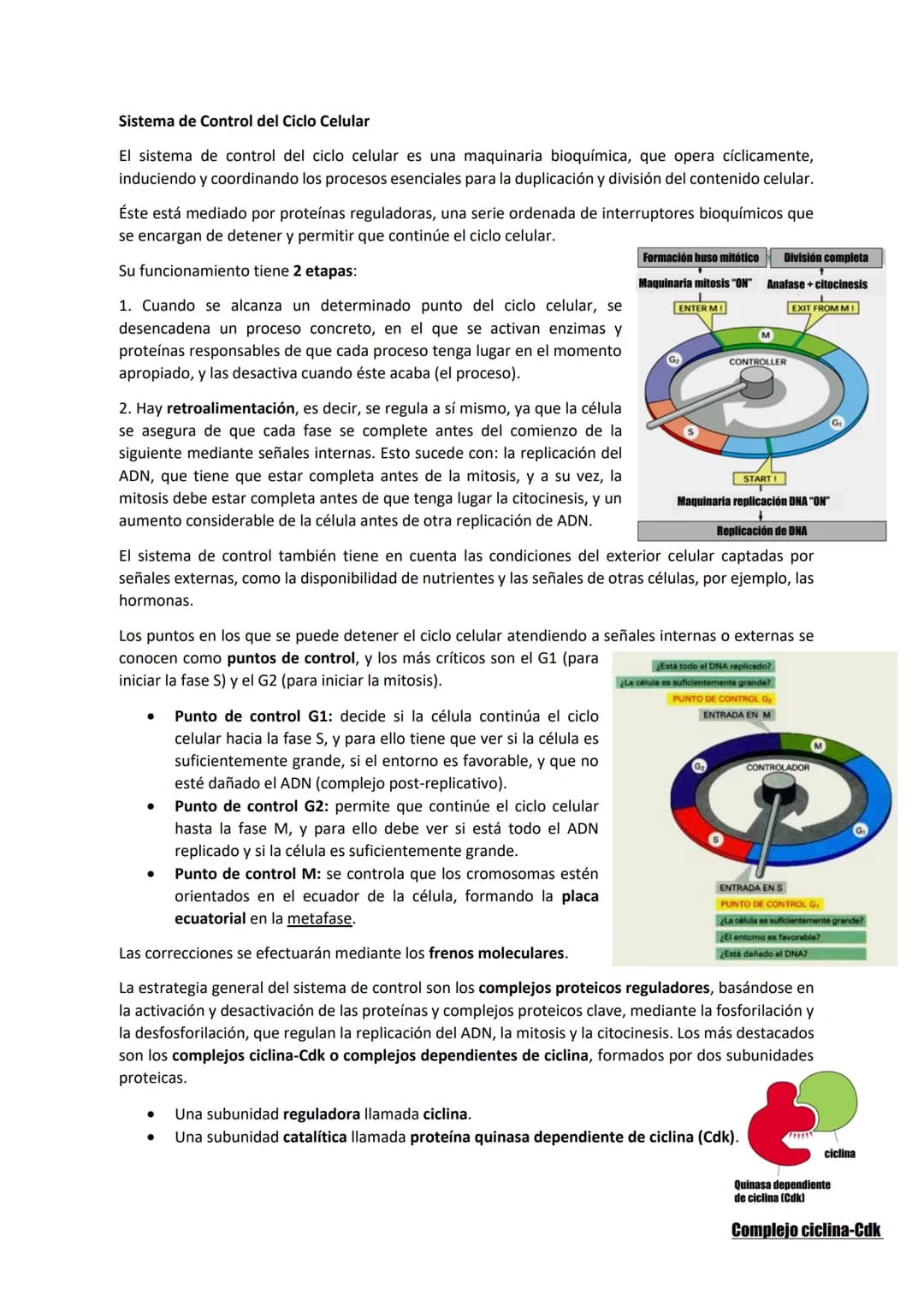 TEMA 7 - EL CICLO CELULAR: control del ciclo celular
CONTENIDOS
Generalidades del ciclo de división celular
Sistema de Control del ciclo cel