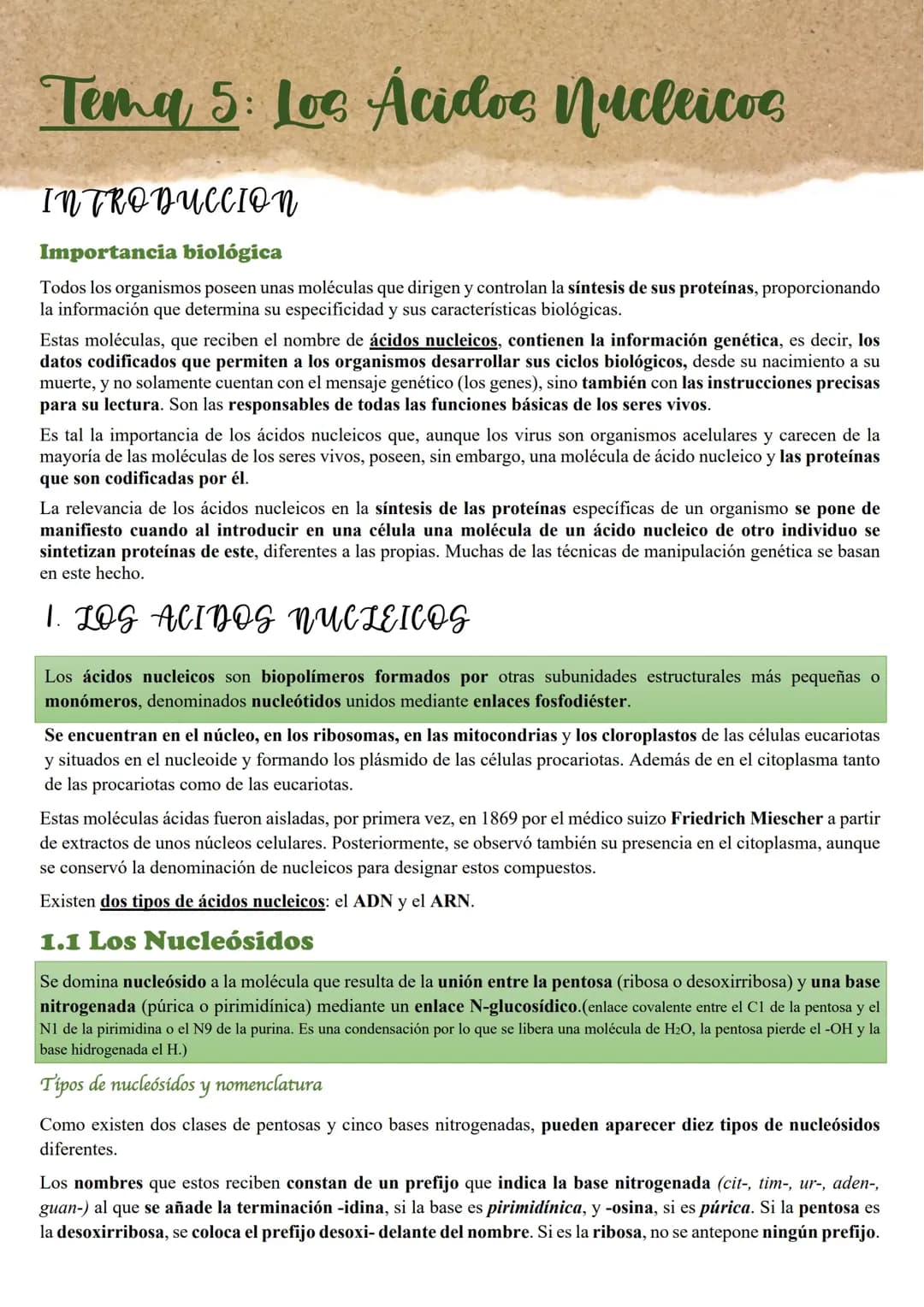 Ácidos nucleicos
