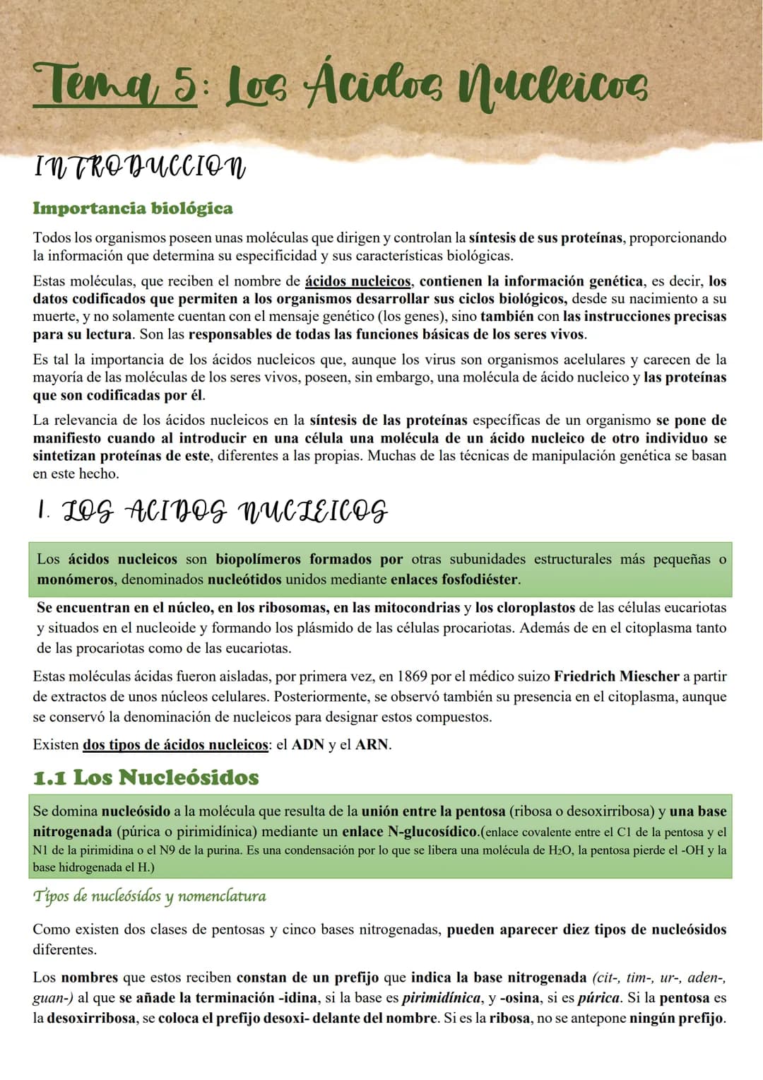 Tema 5: Loc Acidos nucleicos
INTRODUCCION
Importancia biológica
Todos los organismos poseen unas moléculas que dirigen y controlan la síntes