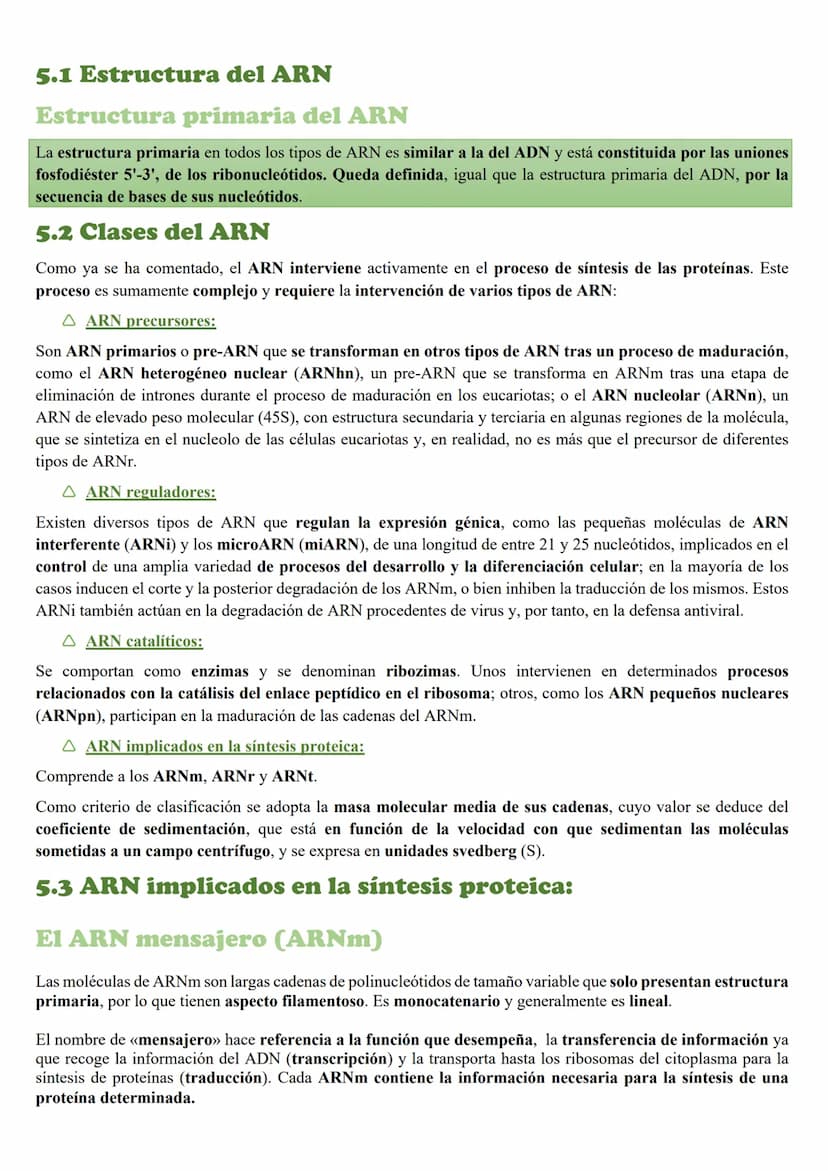 Tema 5: Loc Acidos nucleicos
INTRODUCCION
Importancia biológica
Todos los organismos poseen unas moléculas que dirigen y controlan la síntes