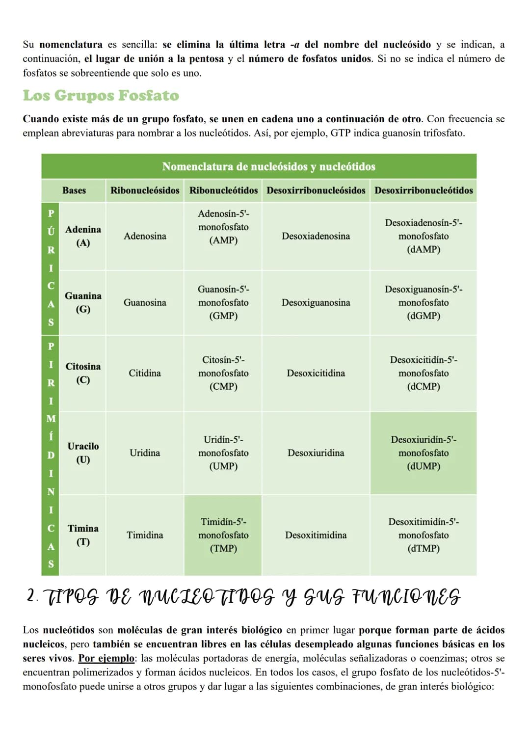 Tema 5: Loc Acidos nucleicos
INTRODUCCION
Importancia biológica
Todos los organismos poseen unas moléculas que dirigen y controlan la síntes