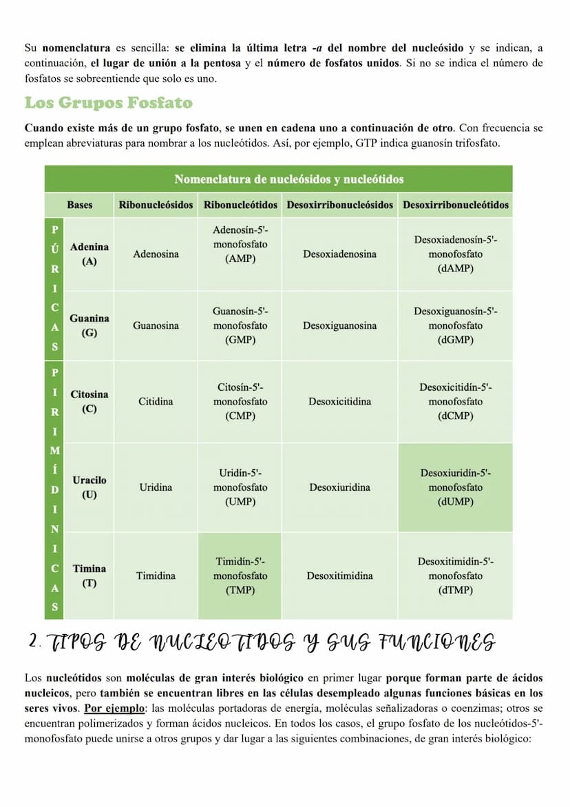 Tema 5: Loc Acidos nucleicos
INTRODUCCION
Importancia biológica
Todos los organismos poseen unas moléculas que dirigen y controlan la síntes