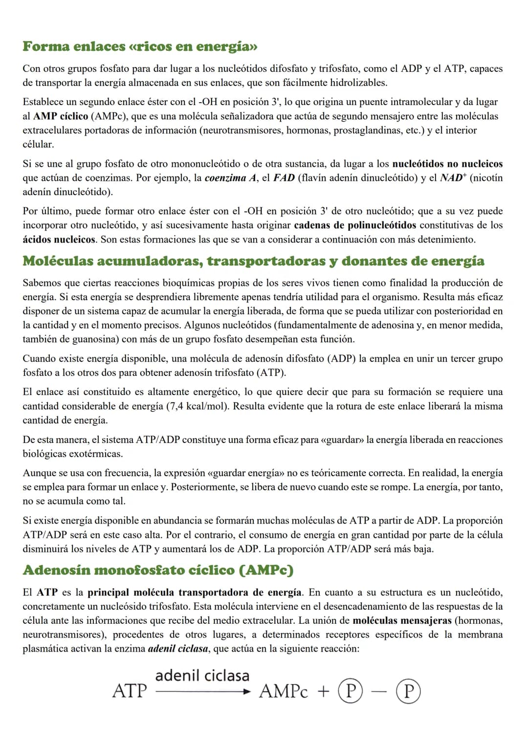 Tema 5: Loc Acidos nucleicos
INTRODUCCION
Importancia biológica
Todos los organismos poseen unas moléculas que dirigen y controlan la síntes