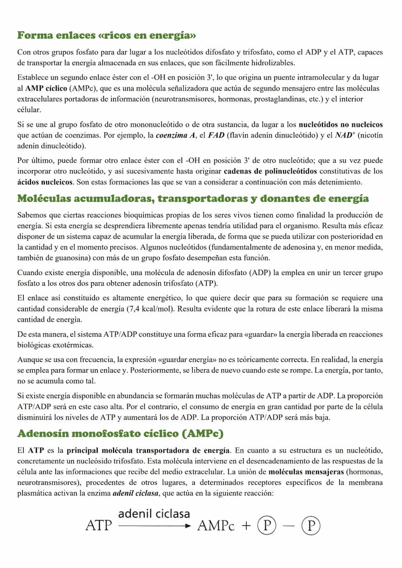 Tema 5: Loc Acidos nucleicos
INTRODUCCION
Importancia biológica
Todos los organismos poseen unas moléculas que dirigen y controlan la síntes