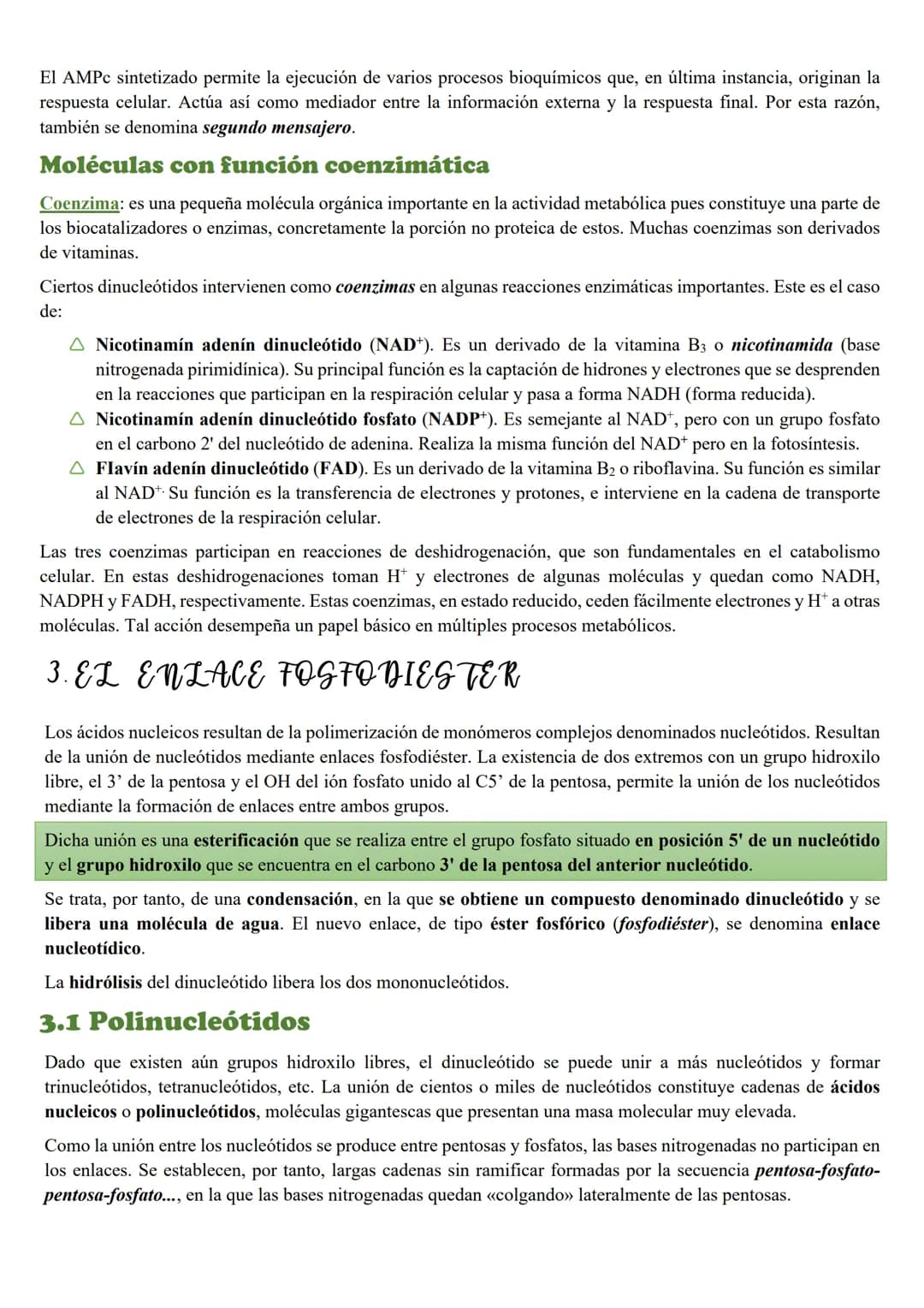 Tema 5: Loc Acidos nucleicos
INTRODUCCION
Importancia biológica
Todos los organismos poseen unas moléculas que dirigen y controlan la síntes