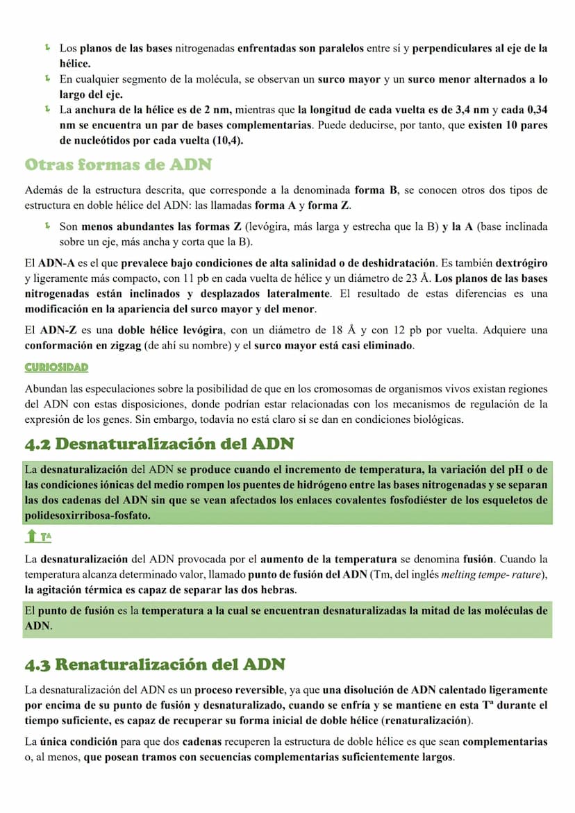 Tema 5: Loc Acidos nucleicos
INTRODUCCION
Importancia biológica
Todos los organismos poseen unas moléculas que dirigen y controlan la síntes