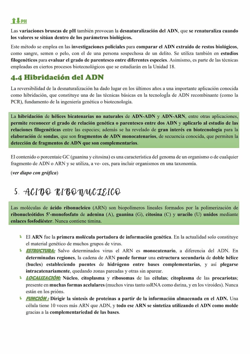 Tema 5: Loc Acidos nucleicos
INTRODUCCION
Importancia biológica
Todos los organismos poseen unas moléculas que dirigen y controlan la síntes