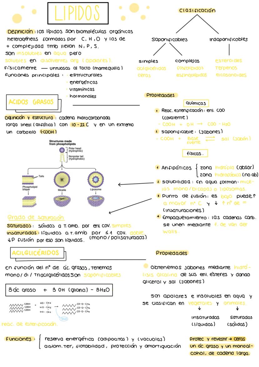 
<p>Los lípidos son biomoléculas orgánicas heterogéneas formadas por carbono, hidrógeno y oxígeno, y a menudo también contienen nitrógeno, f