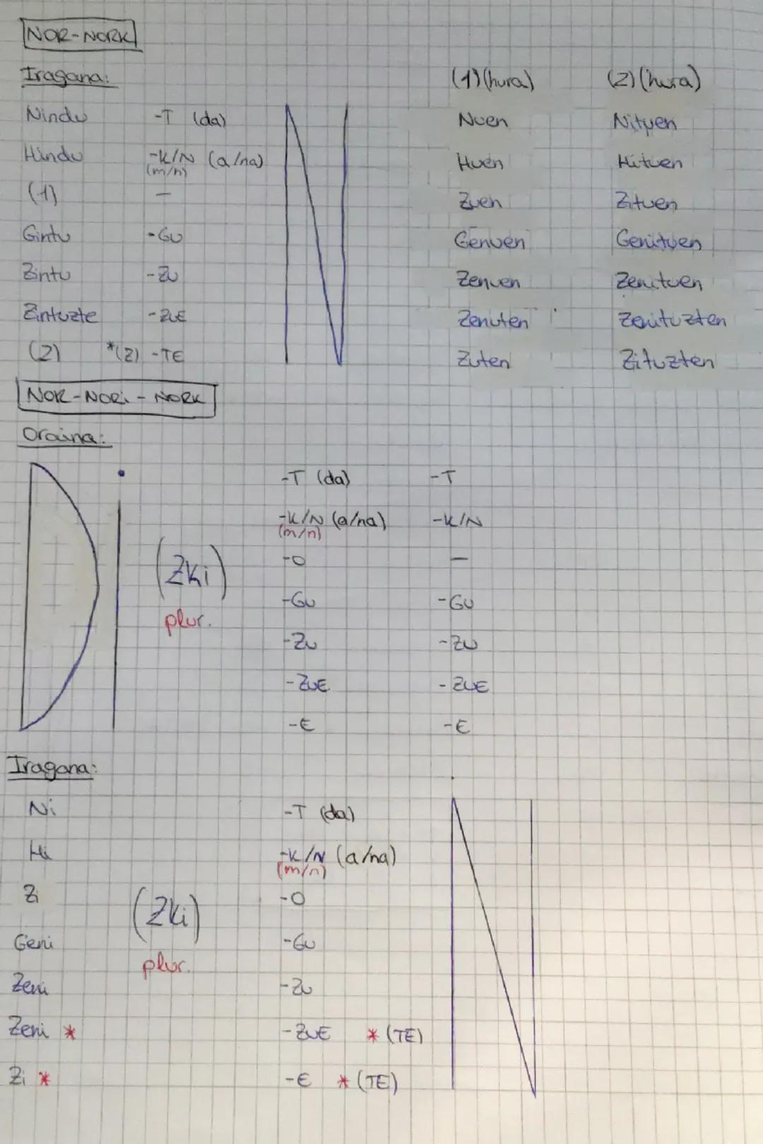 ADITZAK

NOR
NOR-NORI:
Oraina/Iragana:
Oraina
Ni naiz/nintzen.
Natzai
-T
Hi haiz/hintzen.
Hatzai

Hura da/zen.
Zai
-0
Gu gara/ginen.
Gatzaiz