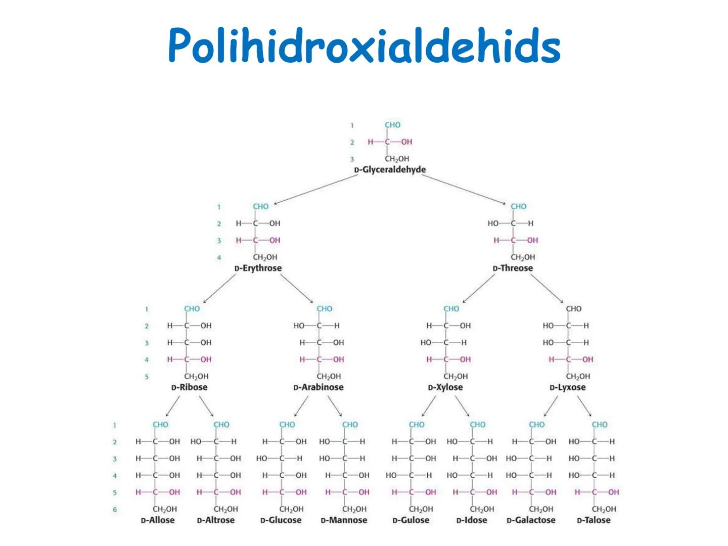 # UNITAT 4:

# DEL PLAT A LA CÈL·LULA

Glúcids i Lípids FRUITES I VERDURES

*   Aigua
*   Sals minerals
*   Vitamines (C, A, D....)
*   Cell