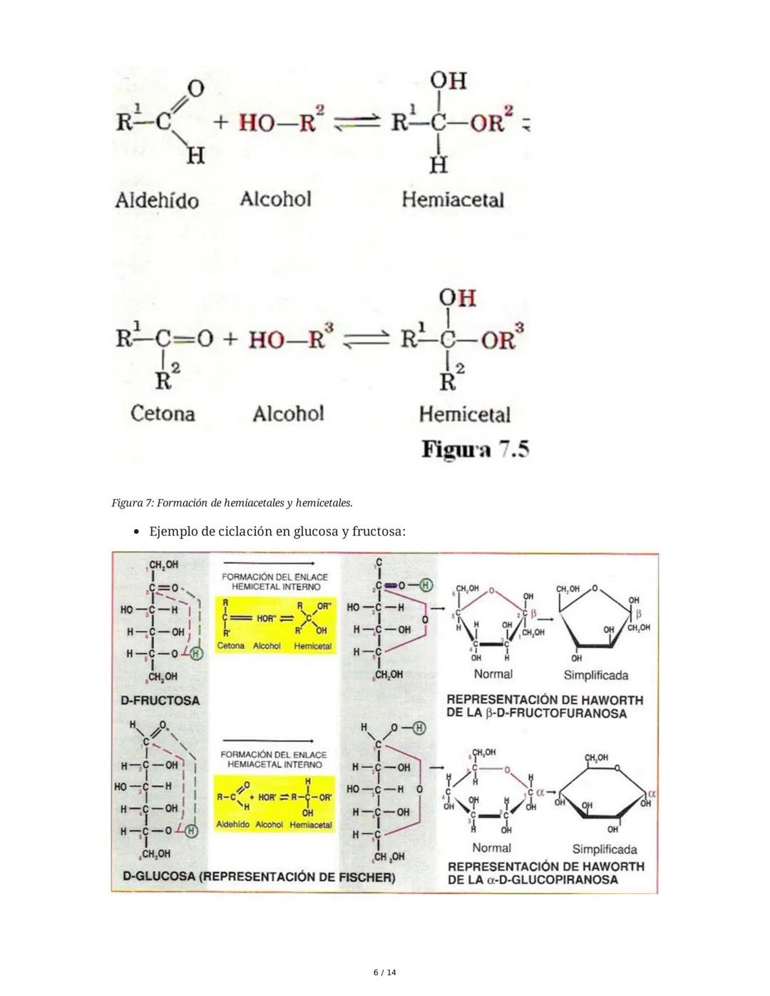 1. Definición
TEMA 2: LOS GLÚCIDOS
Los glúcidos son biomoléculas compuestas por carbono (C), hidrógeno (H) y oxígeno (O),
con la fórmula emp