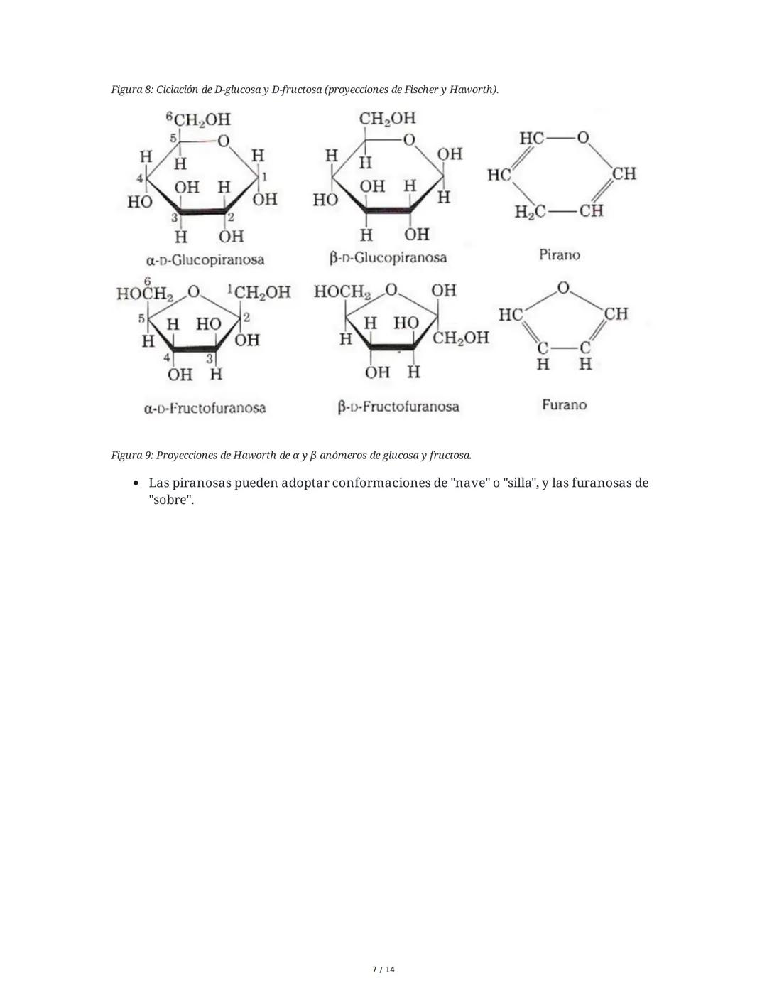 1. Definición
TEMA 2: LOS GLÚCIDOS
Los glúcidos son biomoléculas compuestas por carbono (C), hidrógeno (H) y oxígeno (O),
con la fórmula emp