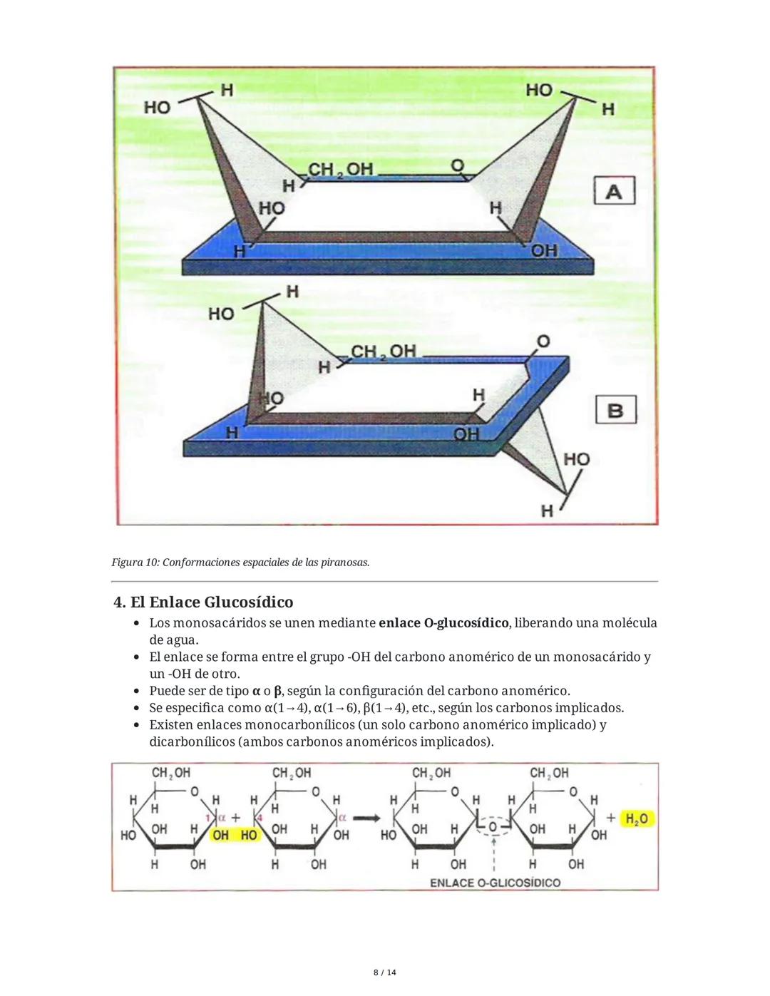 1. Definición
TEMA 2: LOS GLÚCIDOS
Los glúcidos son biomoléculas compuestas por carbono (C), hidrógeno (H) y oxígeno (O),
con la fórmula emp