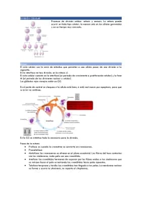 Know BIOLOGIA. División celular thumbnail