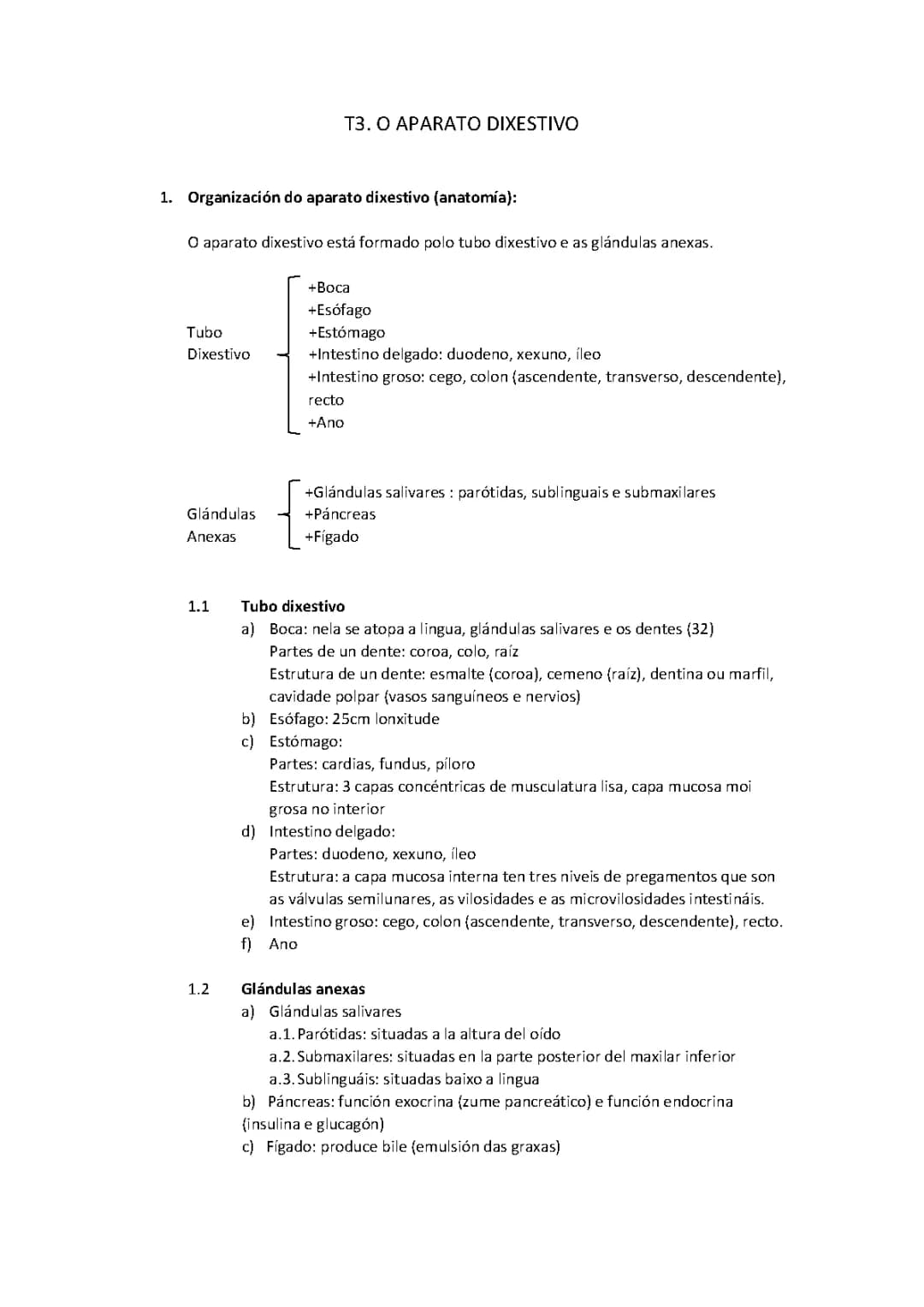 Descubre las Partes y Funciones del Aparato Digestivo para Niños