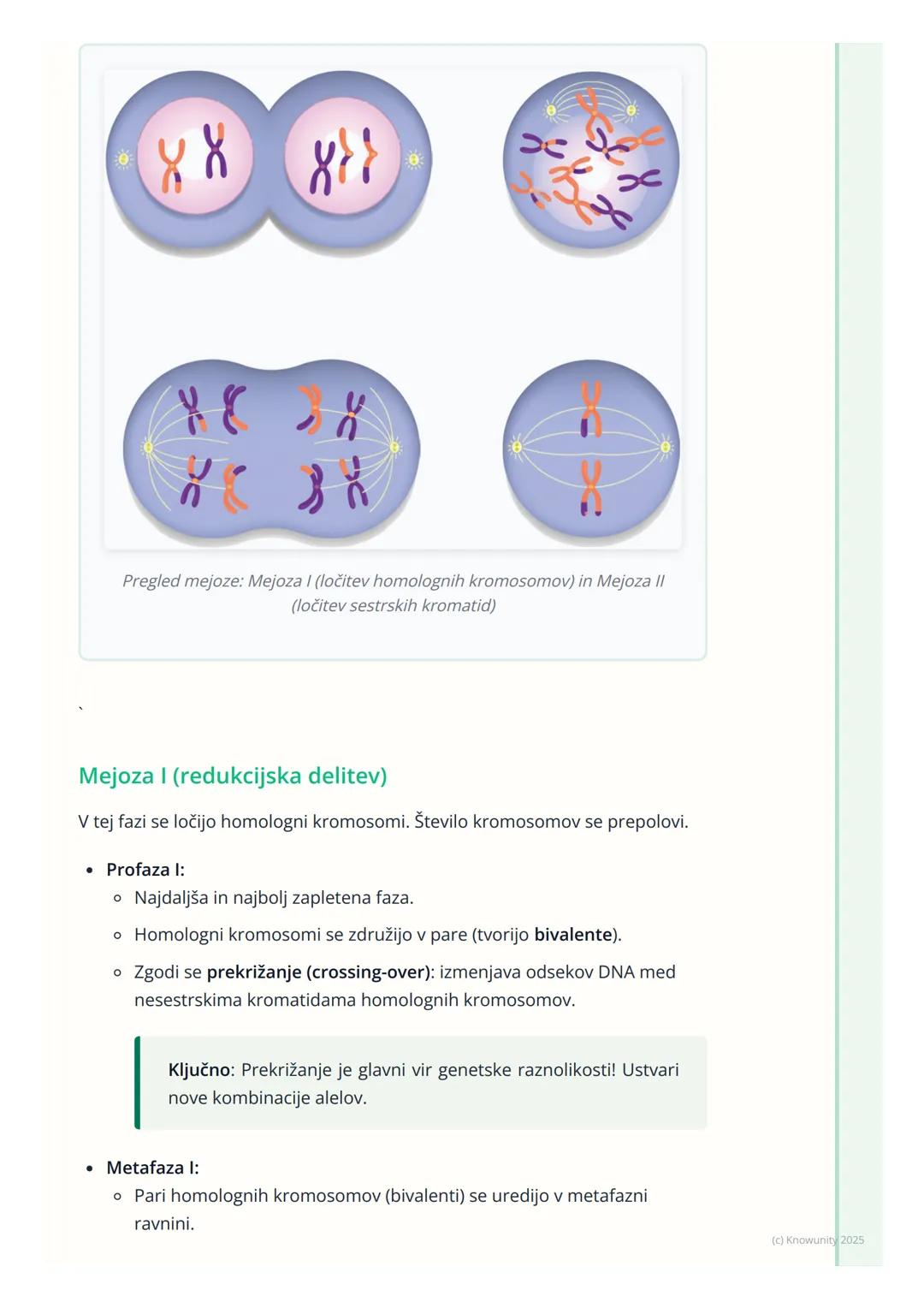 # Celični cikel in delitev celic

## Pregled celičnega cikla

Celični cikel je urejeno zaporedje dogodkov v življenju celice, ki vodi v njen