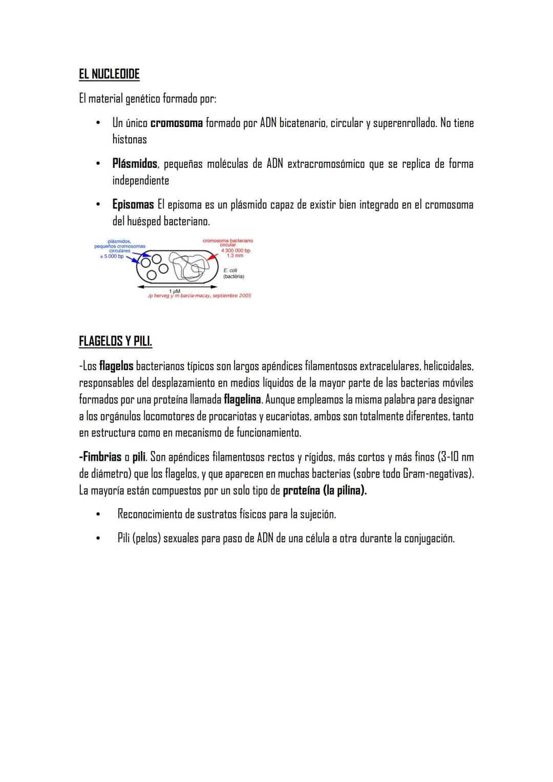 2.2 LA CÉLULA PROCARIOTA. BACTERIAS
ESTRUCTURAS DE LA CÉLULA PROCARIOTA
Membrana plasmática con mesosomas,
cápsula.
pared celular de bacteri