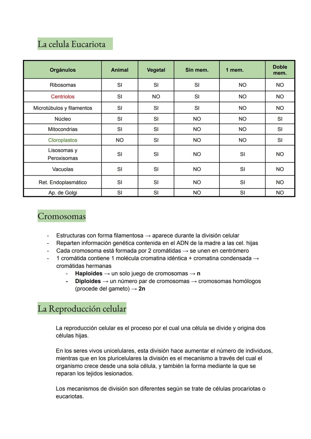 <h2 id="teoracelularresumen">Teoría Celular: Resumen</h2>
<p>La teoría celular es una parte fundamental de la biología que establece que la 