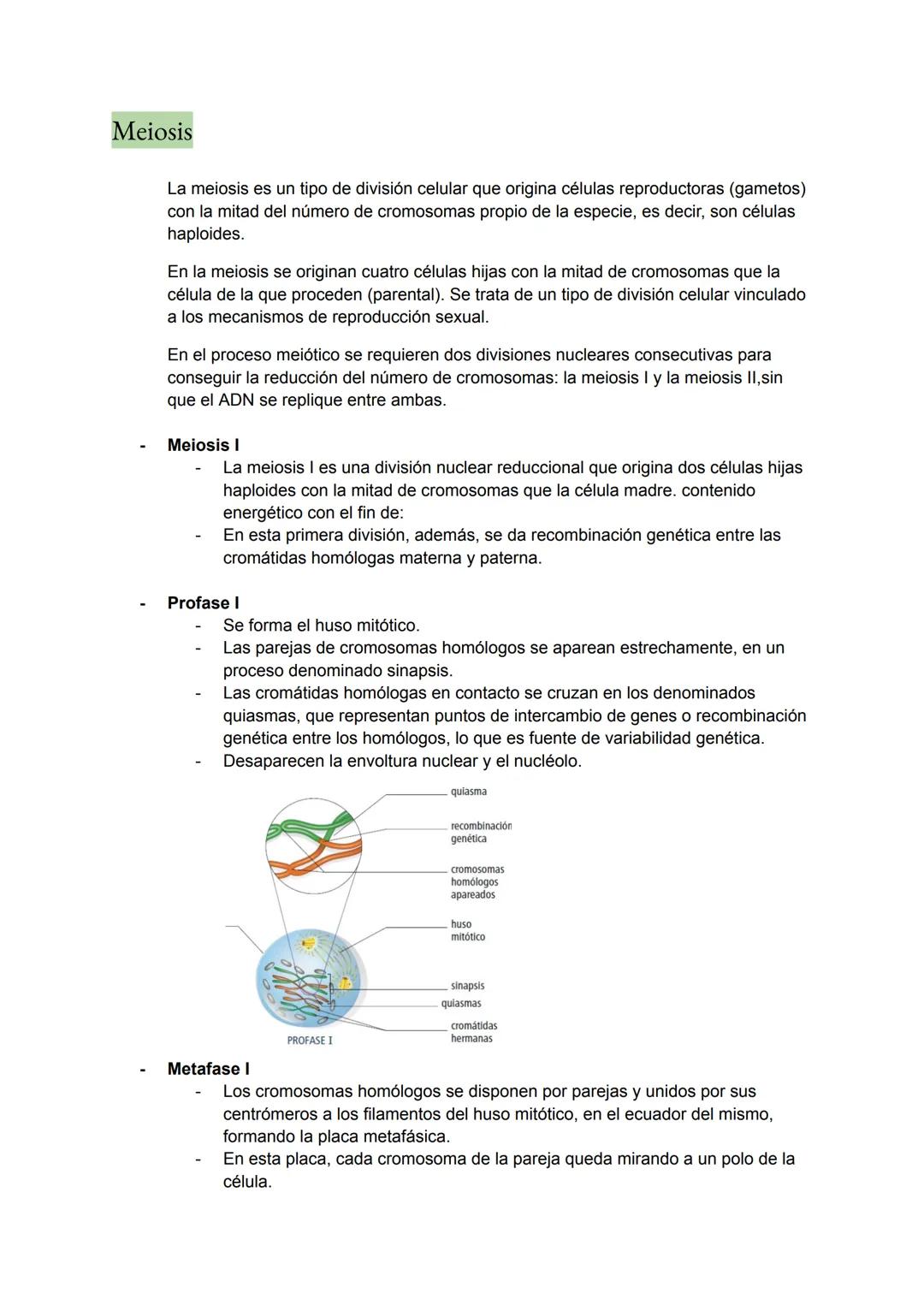 <h2 id="teoracelularresumen">Teoría Celular: Resumen</h2>
<p>La teoría celular es una parte fundamental de la biología que establece que la 