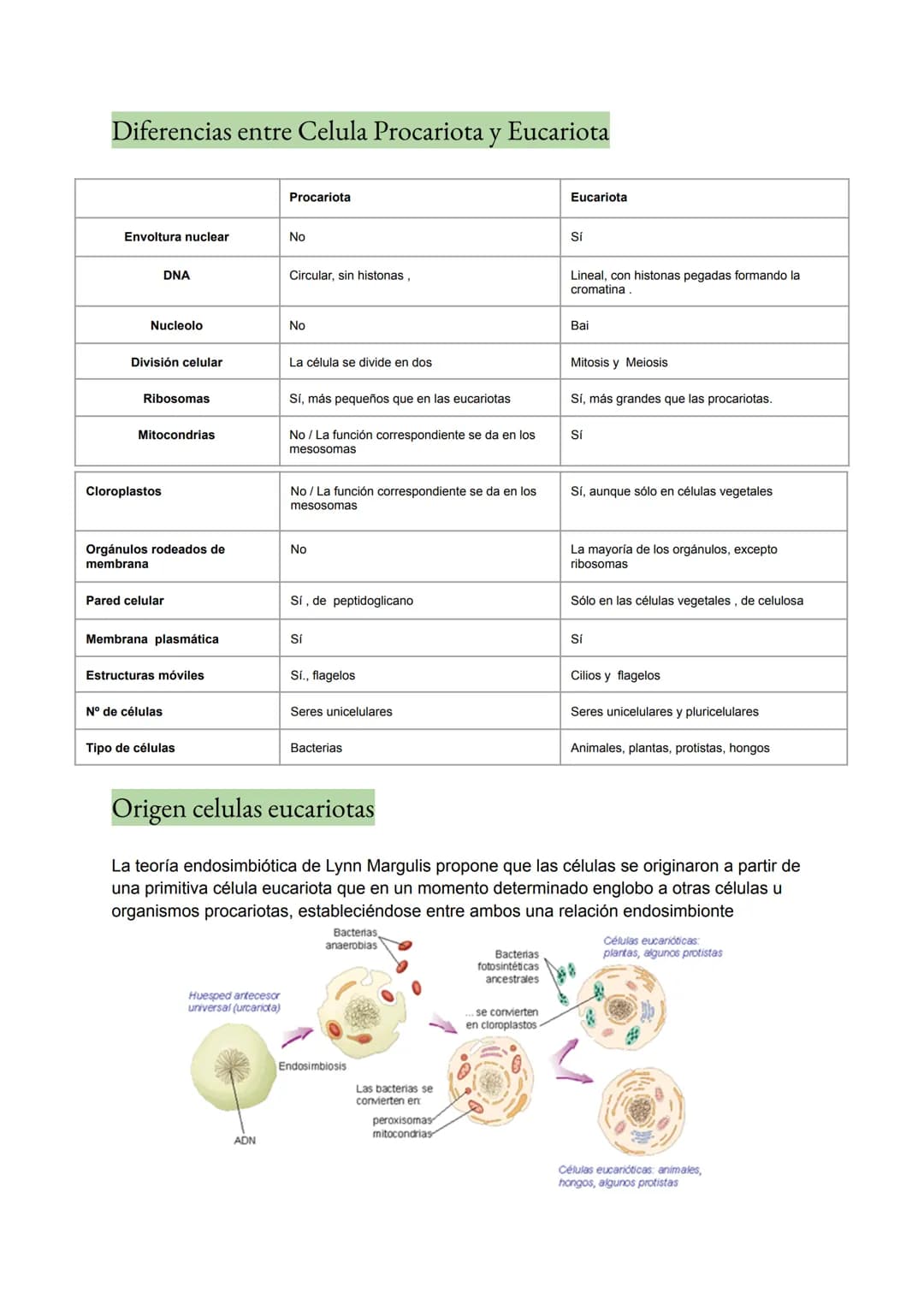 <h2 id="teoracelularresumen">Teoría Celular: Resumen</h2>
<p>La teoría celular es una parte fundamental de la biología que establece que la 