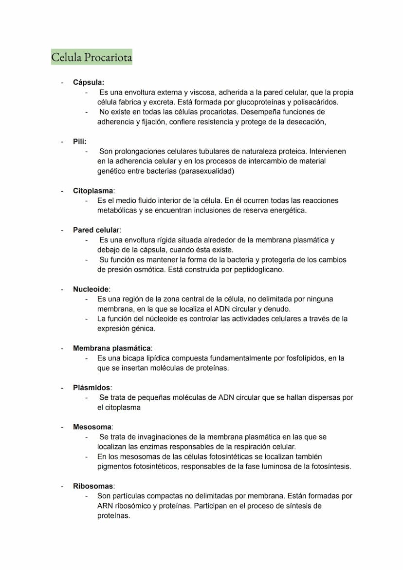 <h2 id="teoracelularresumen">Teoría Celular: Resumen</h2>
<p>La teoría celular es una parte fundamental de la biología que establece que la 