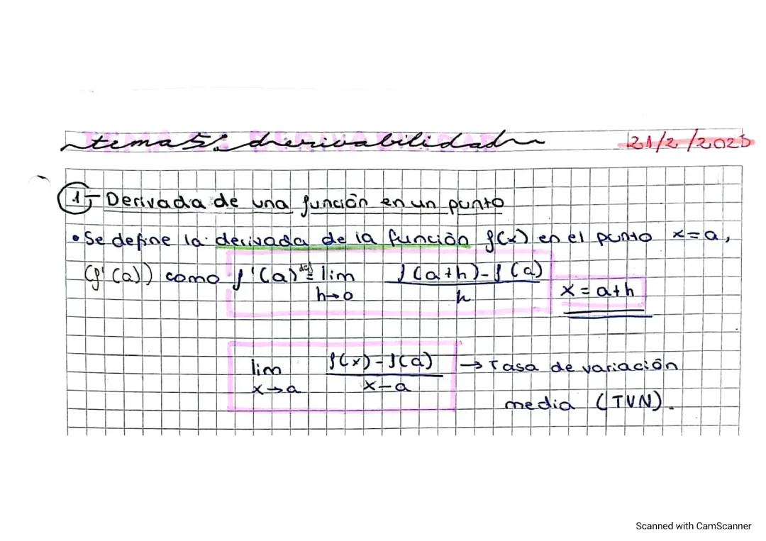 TEMA 5: DERIVABILIDAD