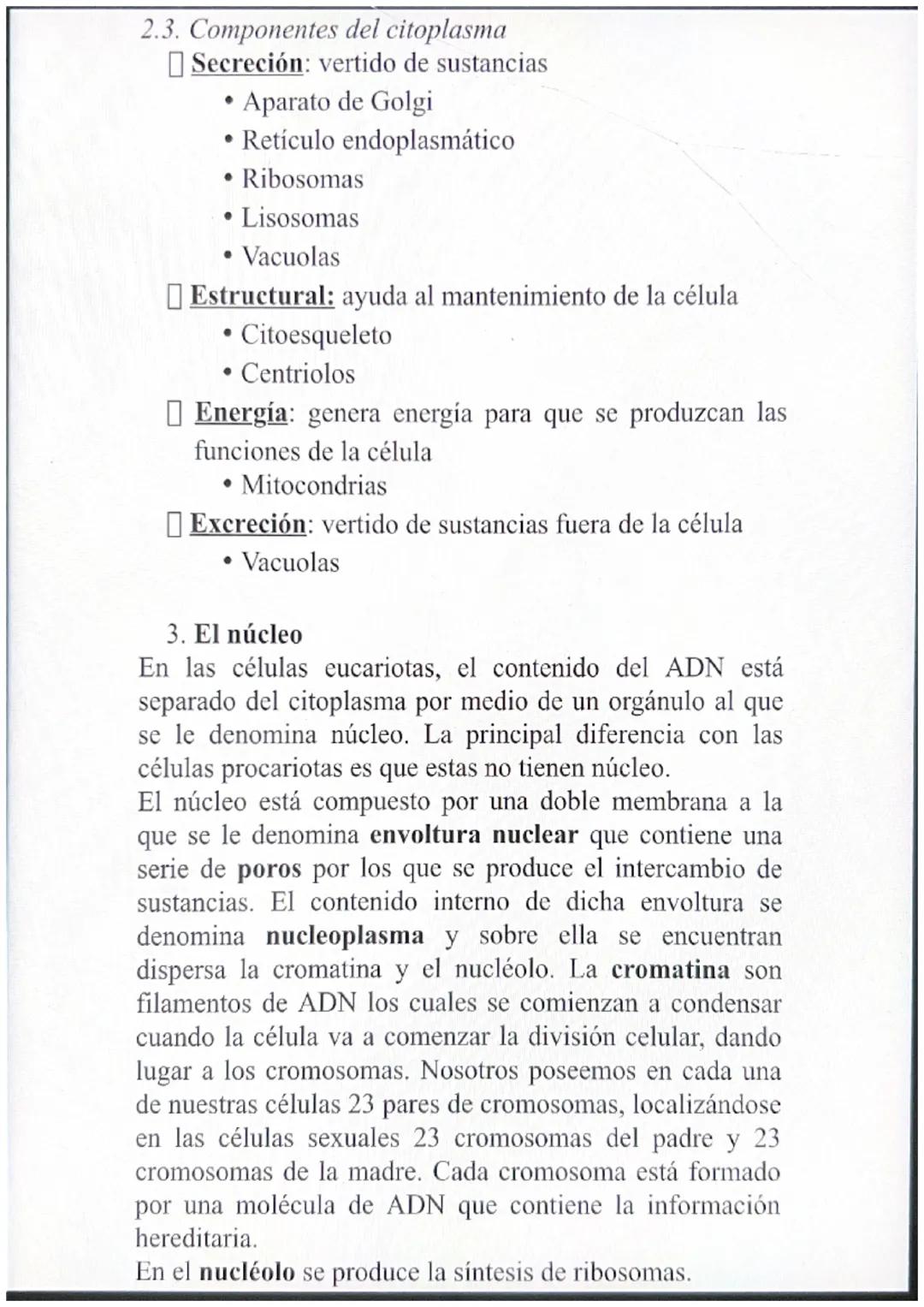 1. Niveles de organización de la materia
Los seres vivos están organizados por los mismos
componentes que la materia inerte pero con distint