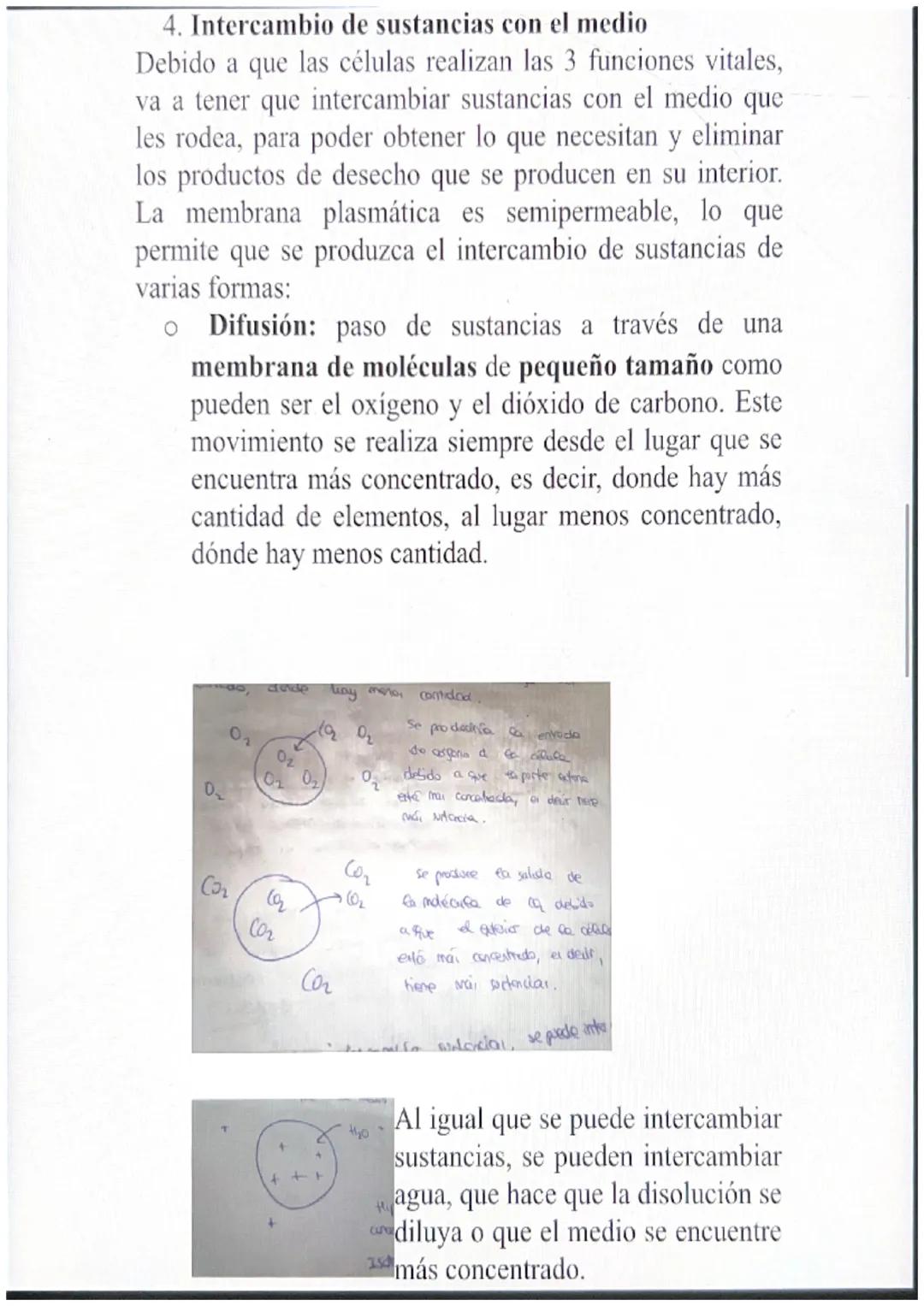 1. Niveles de organización de la materia
Los seres vivos están organizados por los mismos
componentes que la materia inerte pero con distint