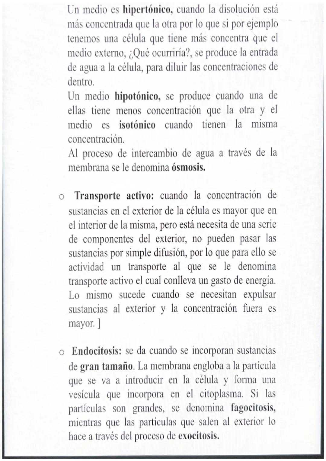 1. Niveles de organización de la materia
Los seres vivos están organizados por los mismos
componentes que la materia inerte pero con distint