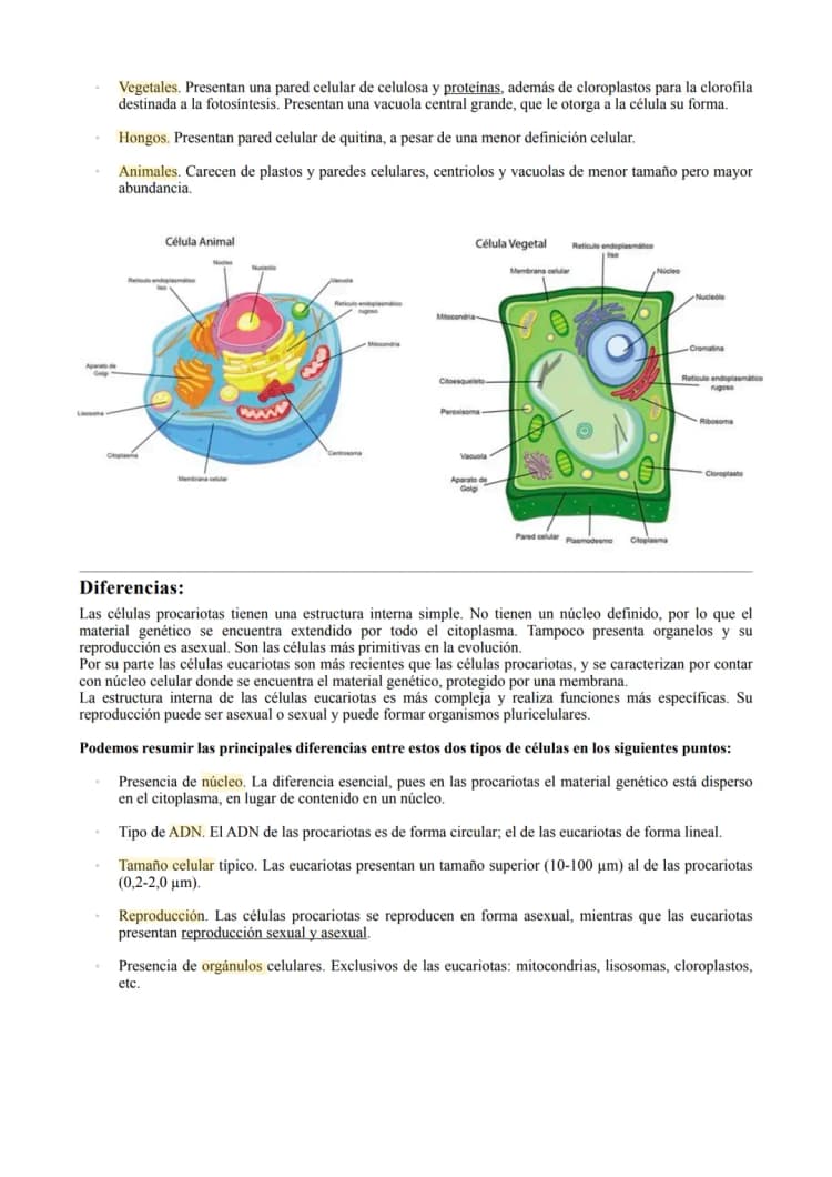 estructura celular procariota y eucariota