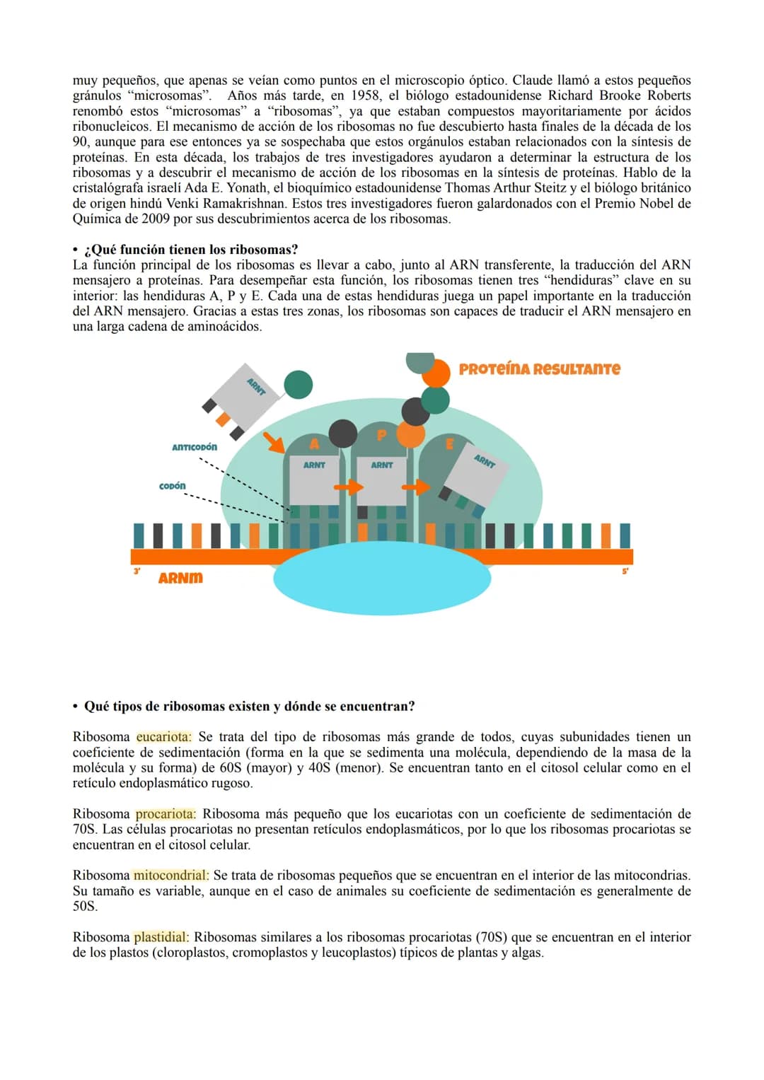 TIPOS DE CÉLULA
La célula procariota:
Las células procariotas estructuralmente son las más simples y pequeñas. Como toda célula, están
delim