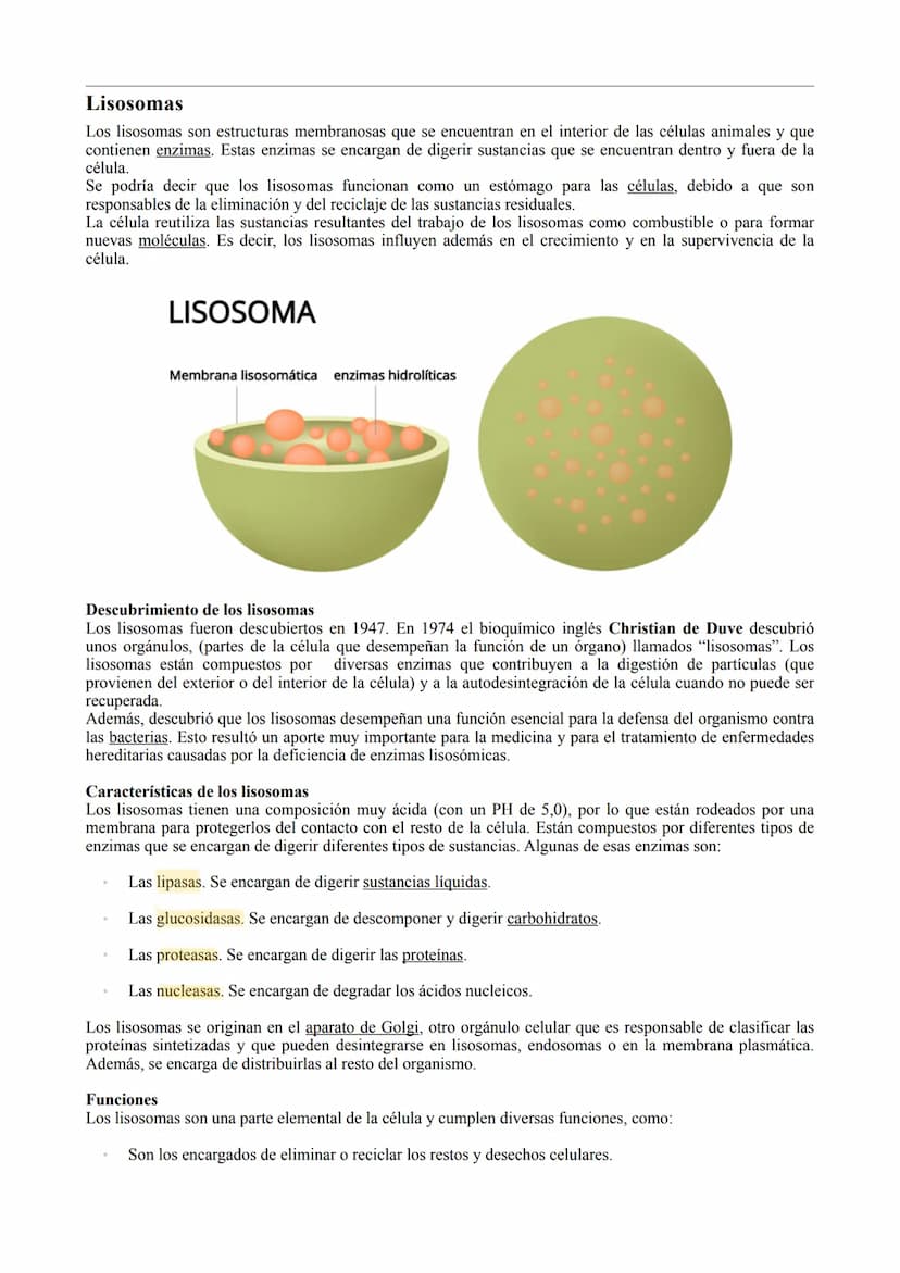 TIPOS DE CÉLULA
La célula procariota:
Las células procariotas estructuralmente son las más simples y pequeñas. Como toda célula, están
delim