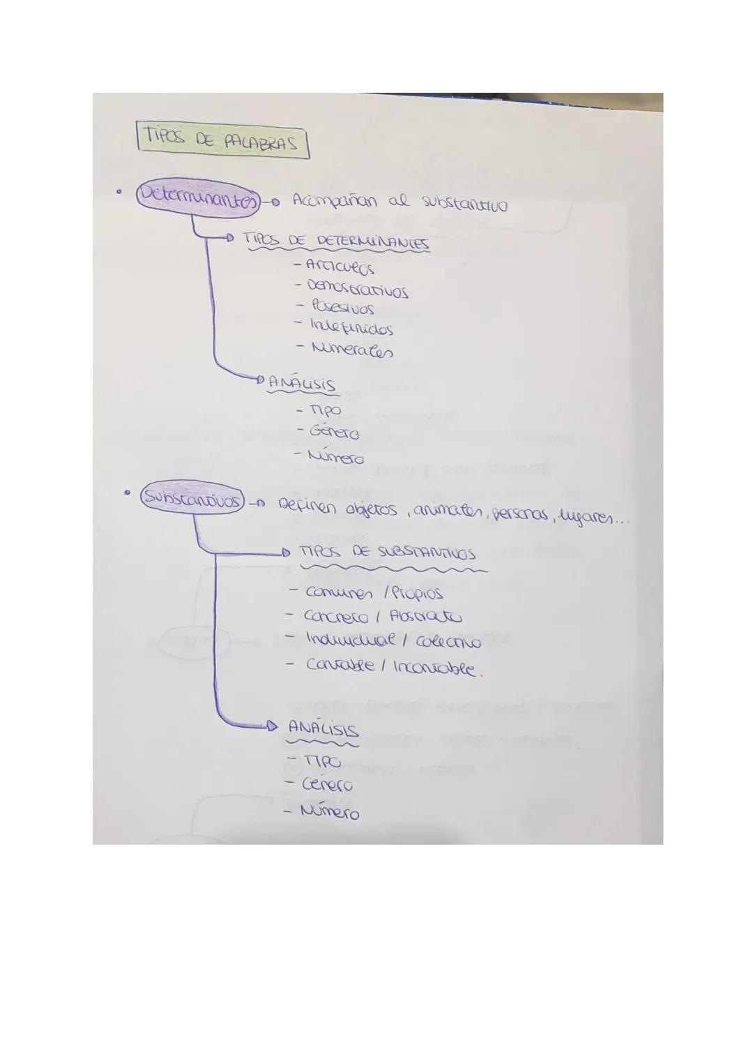 TIPOS DE PALABRAS
(Determinantes
1-0 Acompañan al substantivo
-D TIPOS DE DETERMINANCES
- Articulos
- Demostrativos
- Posesivos
Indefinidos
