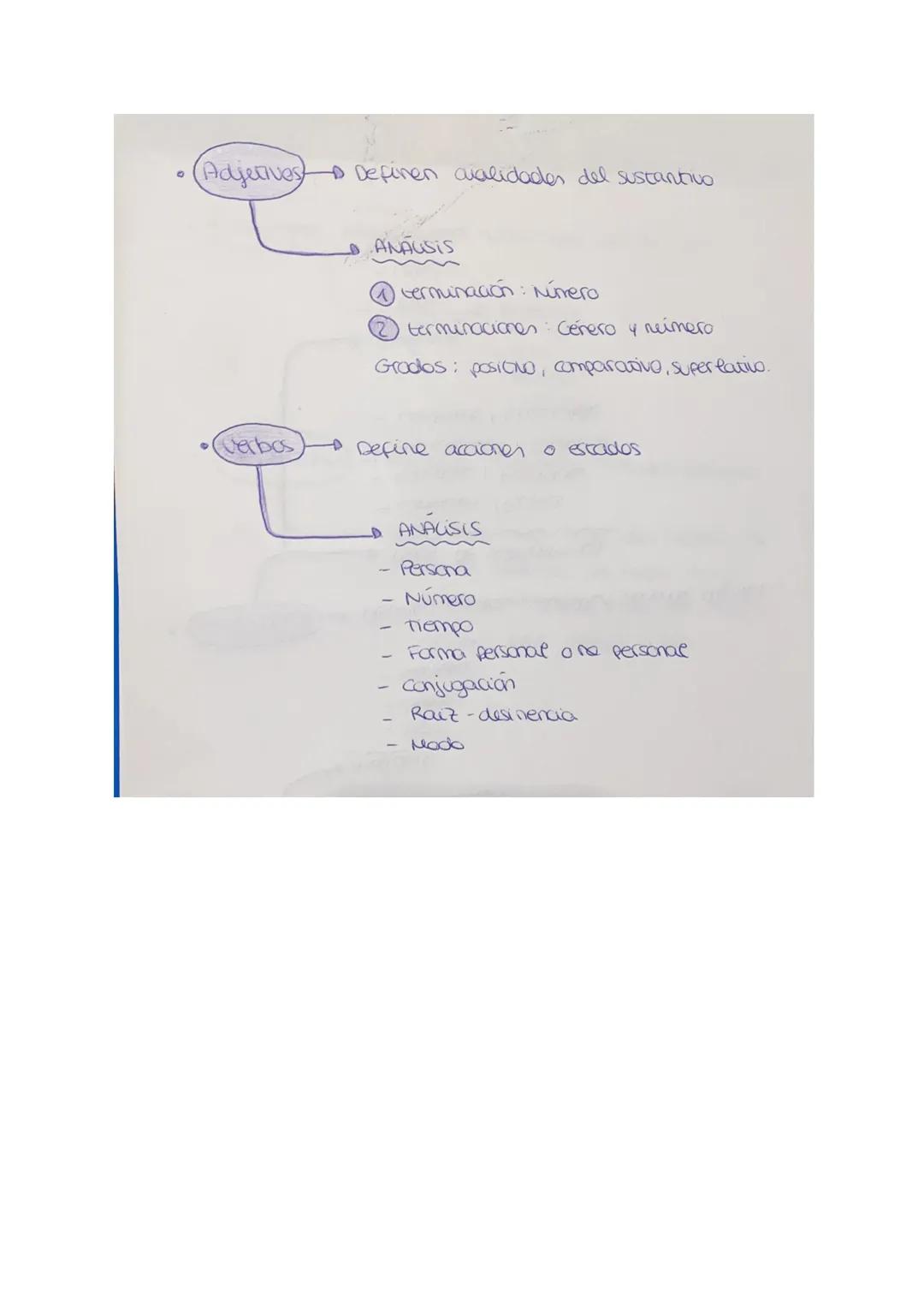 TIPOS DE PALABRAS
(Determinantes
1-0 Acompañan al substantivo
-D TIPOS DE DETERMINANCES
- Articulos
- Demostrativos
- Posesivos
Indefinidos
