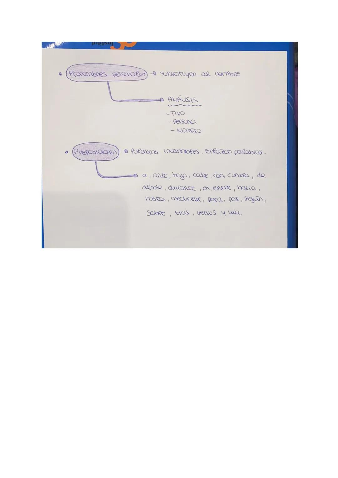 TIPOS DE PALABRAS
(Determinantes
1-0 Acompañan al substantivo
-D TIPOS DE DETERMINANCES
- Articulos
- Demostrativos
- Posesivos
Indefinidos
