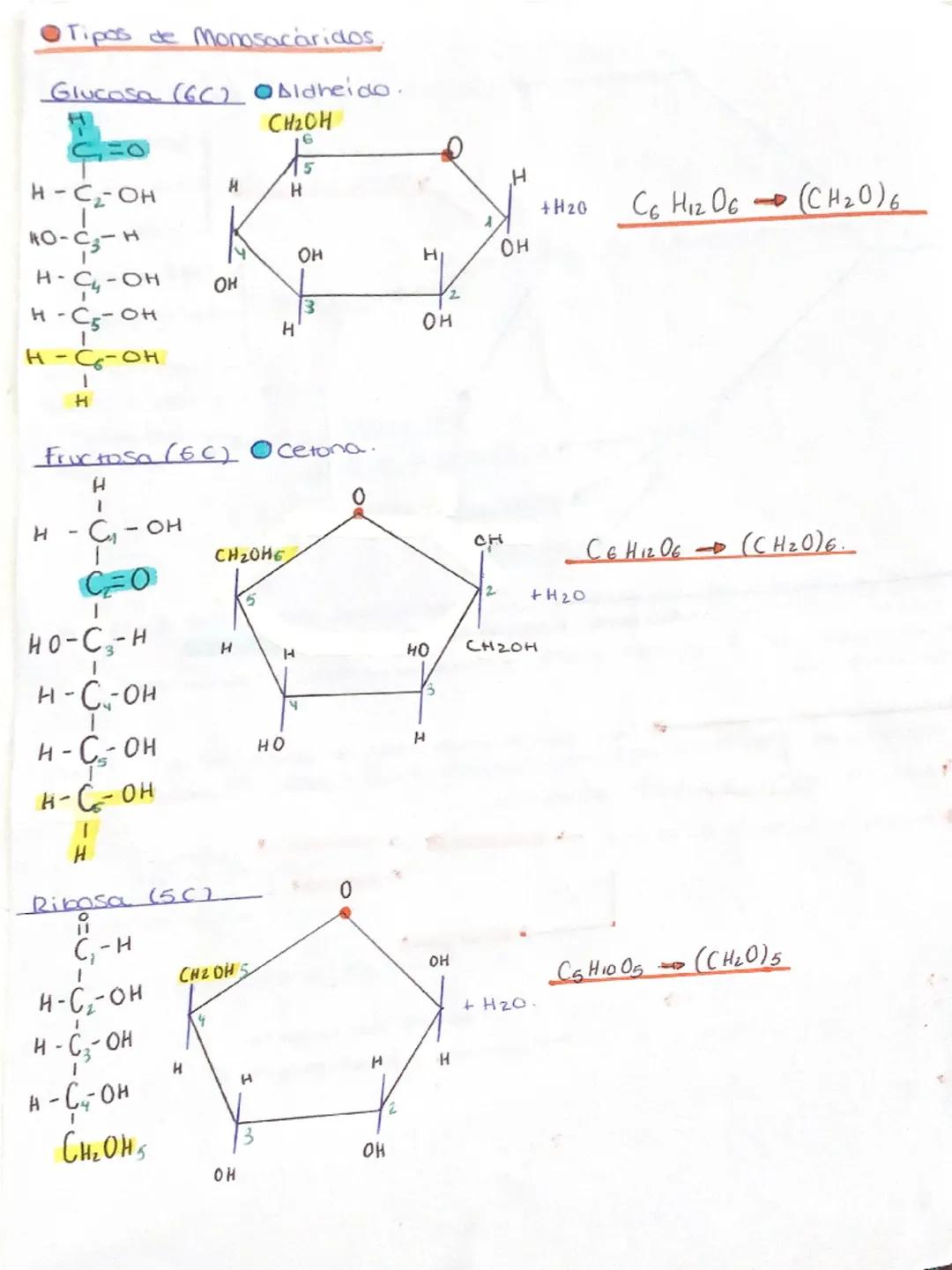 # 1
Componentes.
→Fórmula General. (CH₂O)$_n$ de carboro

Glucidos
Clasificación
Función.

Glúcidos a Hidratos de Carbon0 Son Biomoléculas o