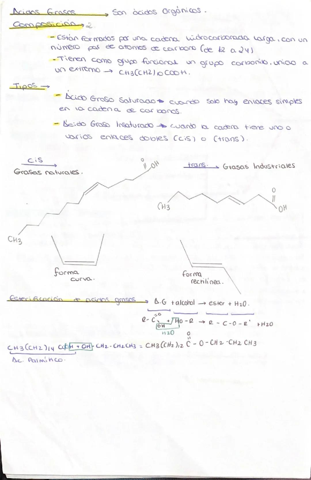 # 1
Componentes.
→Fórmula General. (CH₂O)$_n$ de carboro

Glucidos
Clasificación
Función.

Glúcidos a Hidratos de Carbon0 Son Biomoléculas o