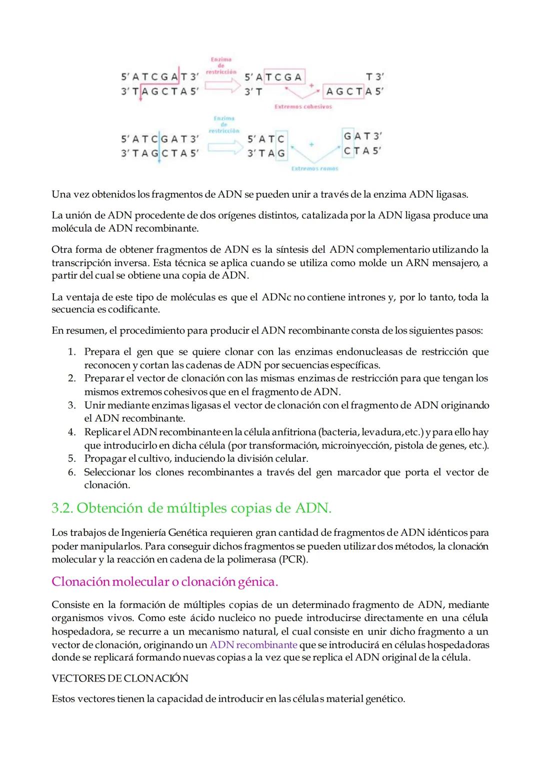 # TEMA 1. Ingeniería genética.

1. Introducción.

2. Definición de Ingeniería genética.

3. Técnicas de manipulación del ADN.

4. Aplicacion