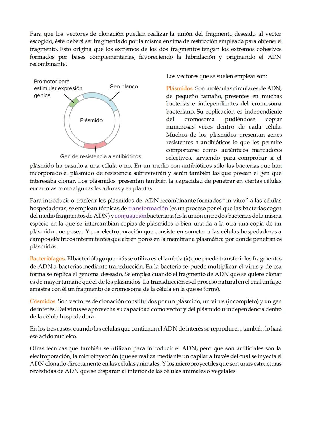 # TEMA 1. Ingeniería genética.

1. Introducción.

2. Definición de Ingeniería genética.

3. Técnicas de manipulación del ADN.

4. Aplicacion