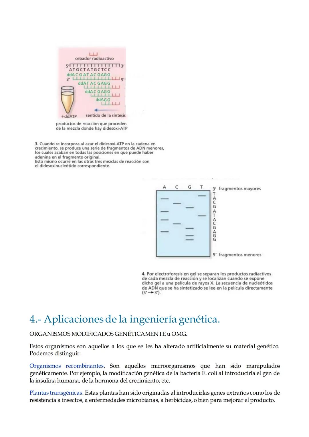 # TEMA 1. Ingeniería genética.

1. Introducción.

2. Definición de Ingeniería genética.

3. Técnicas de manipulación del ADN.

4. Aplicacion