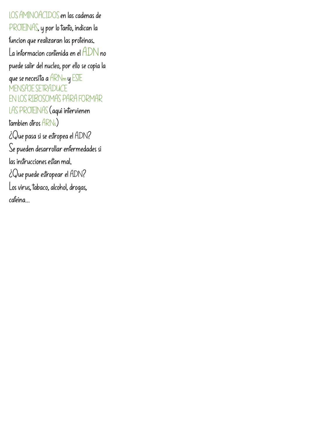 LOS ACIDOS NUCLEICOS
Los acidos nucleicos son enormes
moleculas organicas formadas por C.
H.O.N.P
Estan formados por miles de
unidades basic