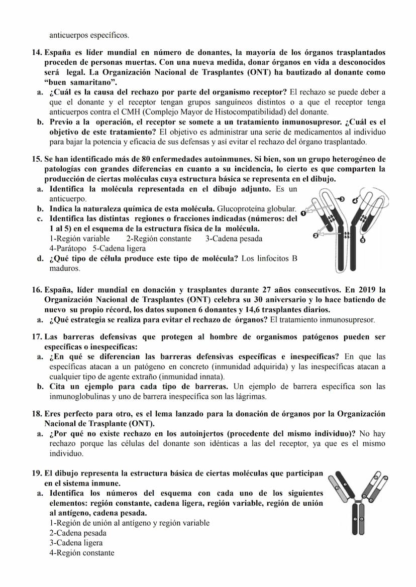 PREGUNTAS TIPO EBAU: INMUNIDAD
1. Se distinguen 4 tipos de Inmunidad: Inmunidad natural activa, inmunidad natural pasiva,
inmunidad artifici