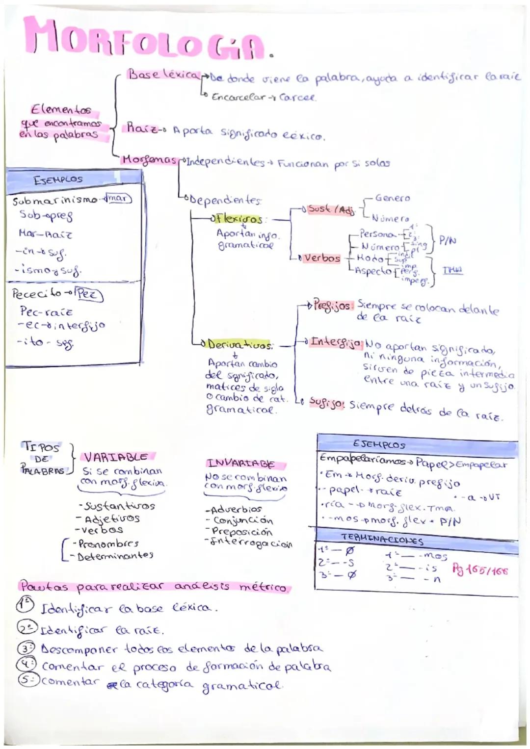 Explorando las Bases Léxicas y Categorías Gramaticales