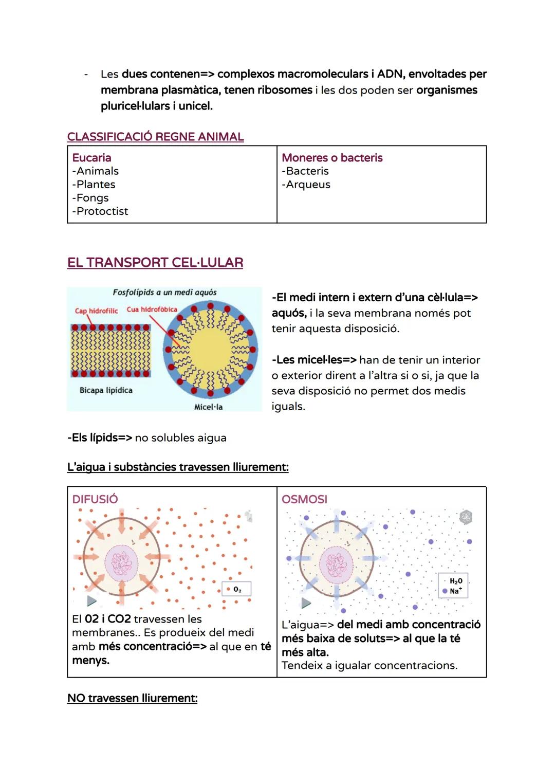 # UNITAT 1 - LA CÈL·LULA

BREU HISTÒRIA DE LA TEORIA CEL-LULAR

- Fonaments teoria cel·lular=>

Història de la teoria cel·lular

■Tots els é
