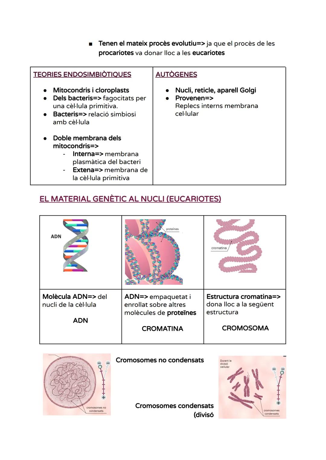 # UNITAT 1 - LA CÈL·LULA

BREU HISTÒRIA DE LA TEORIA CEL-LULAR

- Fonaments teoria cel·lular=>

Història de la teoria cel·lular

■Tots els é